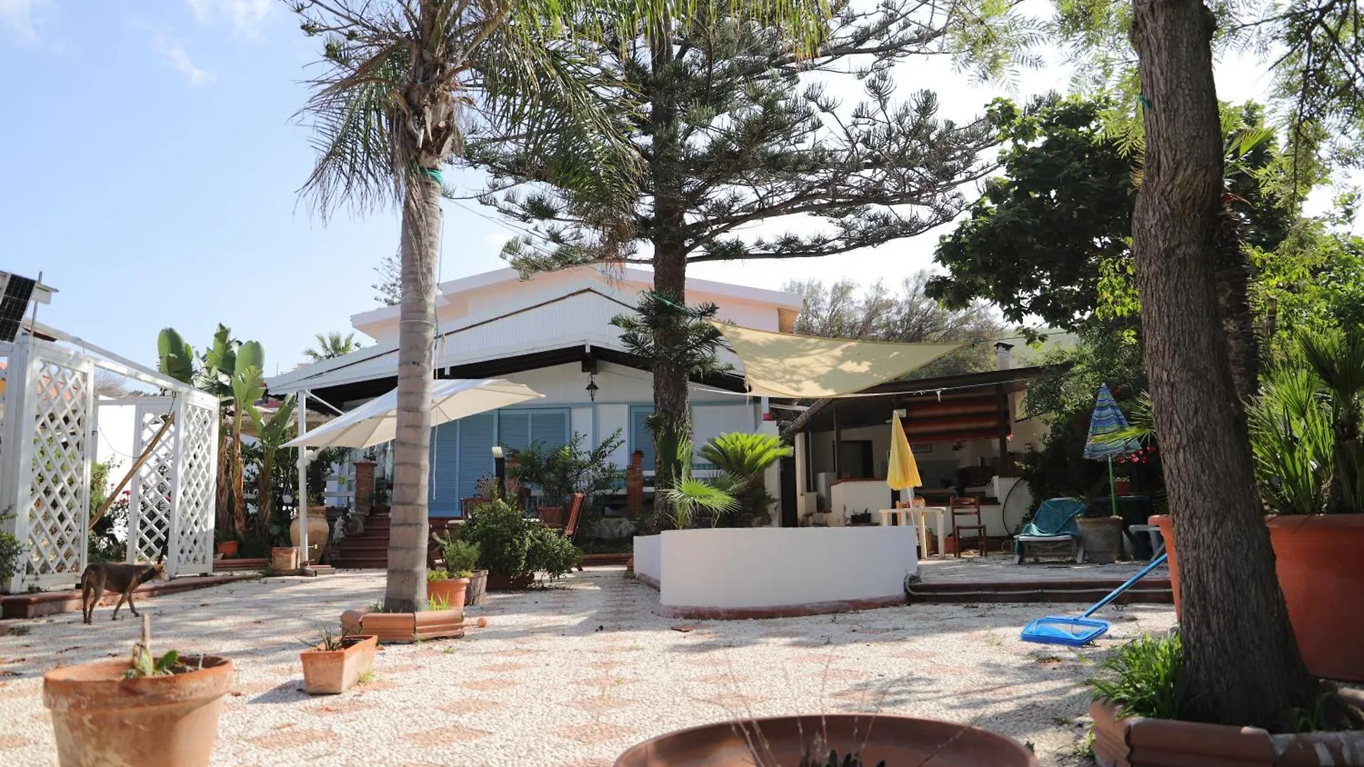 民宿 圣莱昂Sul Mare Di Antonietta公寓